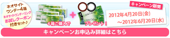 ネオサイトワンデーキャンペーン