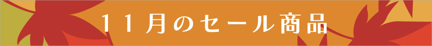 11月セール