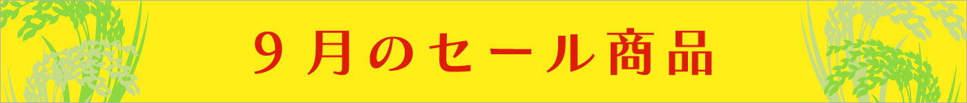 8月セール