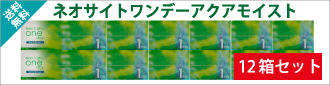 ネオサイトワンデーアクアモイスト12箱セット